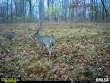 000 Goodman Pond Road - Photo 12