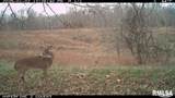 000 Goodman Pond Road - Photo 13