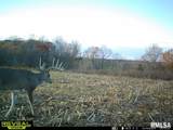 000 Goodman Pond Road - Photo 14