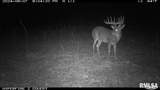 000 Goodman Pond Road - Photo 15