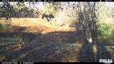 000 Goodman Pond Road - Photo 16