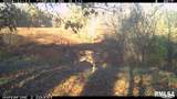 000 Goodman Pond Road - Photo 3