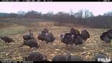000 Goodman Pond Road - Photo 4