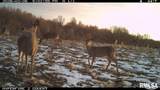 000 Goodman Pond Road - Photo 72