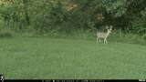 9702 State Highway 9 Route - Photo 76