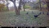 9702 State Highway 9 Route - Photo 77