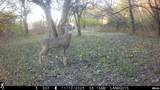 9702 State Highway 9 Route - Photo 78
