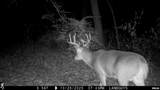 9702 State Highway 9 Route - Photo 81