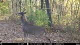 9702 State Highway 9 Route - Photo 82