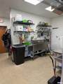 201 Chestnut Street - Photo 4