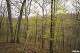 17157 Liberty Road - Photo 37