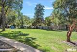 824 Ridgely Avenue - Photo 8