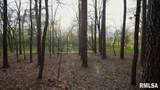 15247 Laminack Road - Photo 48