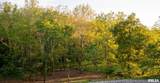 514 Barn Hollow Drive - Photo 32