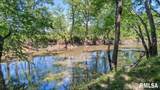 47 Woodland Trail - Photo 77