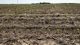 1500 Knox Rd 300 N Road - Photo 28
