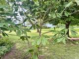 1529 Nursery Lane - Photo 71