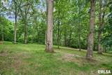 49 Woodland Trail - Photo 88
