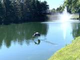 2800 Via Rosso Street - Photo 40
