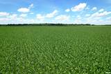  Merritt Blacktop Road - Photo 10