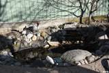 1230 5TH Street - Photo 14