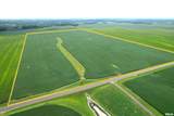  Literberry Triopia Road - Photo 13