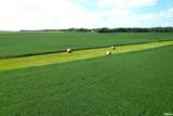  Literberry Triopia Road - Photo 17