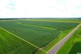  Literberry Triopia Road - Photo 18