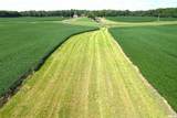  Literberry Triopia Road - Photo 19