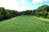  Literberry Triopia Road - Photo 27