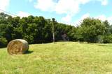 Literberry Triopia Road - Photo 30