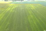  Literberry Triopia Road - Photo 4