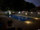 1401 Meadow Rue Drive - Photo 53
