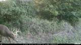 0000 Knox Road - Photo 14