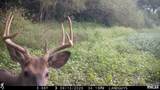 0000 Knox Road - Photo 15