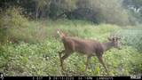 0000 Knox Road - Photo 16