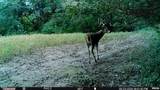 0000 Knox Road - Photo 3
