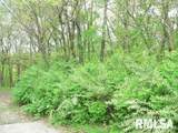 364 Seminole Blacktop - Photo 1