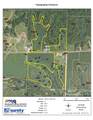 10915 Timber Road - Photo 7