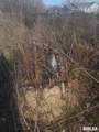 4905 Valley View Road - Photo 4