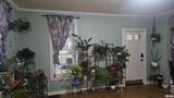 355 2ND Avenue - Photo 8