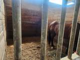 1230 Us Hwy 45 N Highway - Photo 11