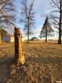 2400 Springfield Road - Photo 2