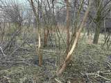 0 Seven Hills Road - Photo 28