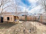 1101 Ann Eliza Street - Photo 50