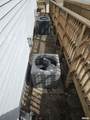 515 Elizabeth Street - Photo 30