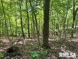 1367 Forrest Drive - Photo 3