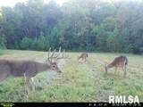 1645 Indian Point Road - Photo 37