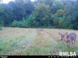 1645 Indian Point Road - Photo 39