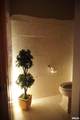 11350 Oak Trail Drive - Photo 81